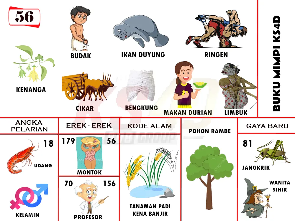 buku mimpi erek erek togel 56